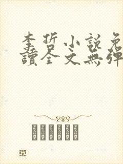 李哲小说免费阅读全文无弹窗封面