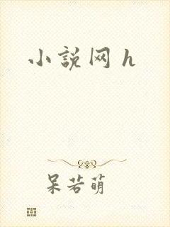 小说网 h