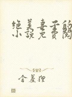 绝美妻子的秘密小说免费阅读