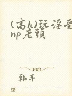 (高h)玩淫受np老头