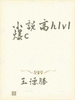 小说高h1v1爆c