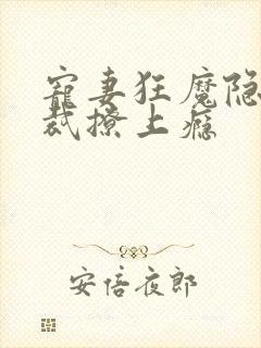 宠妻狂魔隐婚总裁撩上瘾