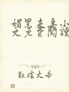 媚黑夫妻小说全文免费阅读最新章节封面