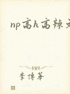 np高h高辣文