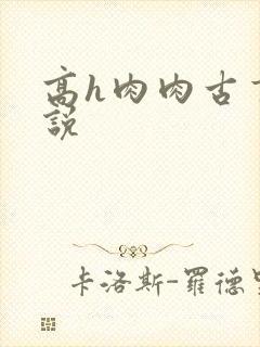 高h肉肉古言小说