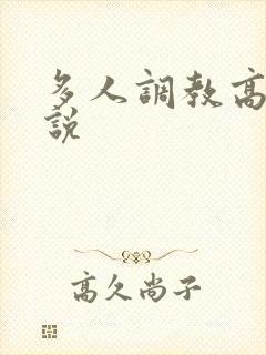 多人调教高h小说封面