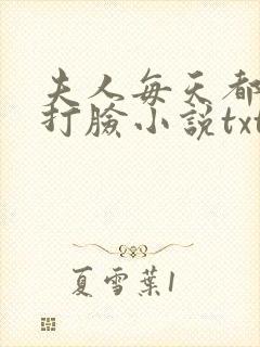 夫人每天都在线打脸小说txt