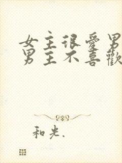 女主很爱男主但男主不喜欢她的小说