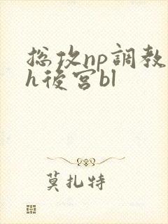 总攻np调教高h后宫bl