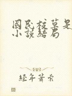 国民校草是女生小说结局封面