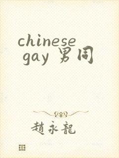 chinese gay 男同