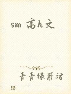 sm 高h文