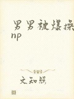 男男被爆操四爱np