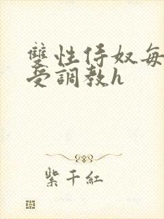 双性侍奴每日接受调教h