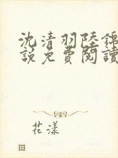 沈清羽陆锦容小说免费阅读最新章节