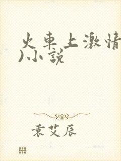 火车上激情(h)小说