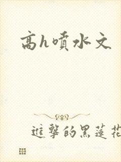 高h喷水文
