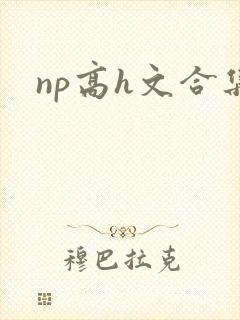 np高h文合集