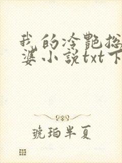 我的冷艳总裁老婆小说txt下载封面