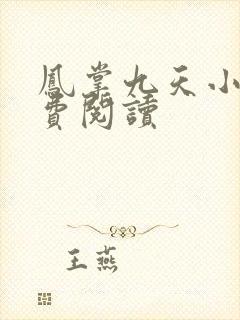 凤掌九天小说免费阅读