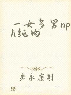 一女多男np高h纯肉