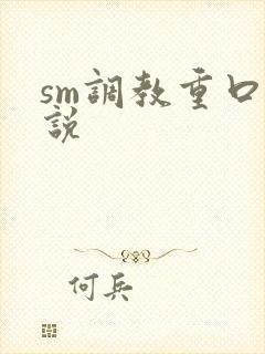 sm调教重口小说