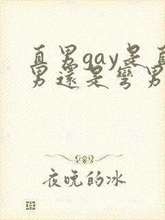 直男gay是直男还是弯男
