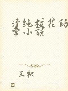 清纯校花的被日常小说