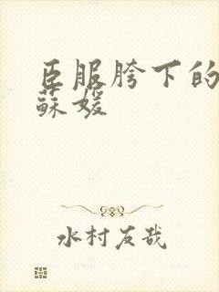 臣服胯下的人妻苏媛封面