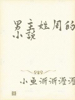 男主姓周的现代小说封面