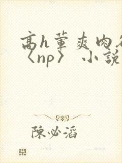 高h荤爽肉欲文〈np〉 小说