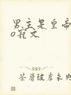 男主是皇帝的po宠文