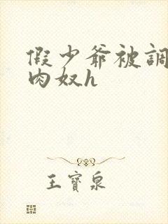 假少爷被调教成肉奴h