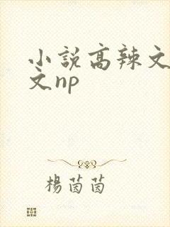 小说高辣文高h文np
