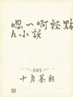 嗯～啊轻点hhh小说