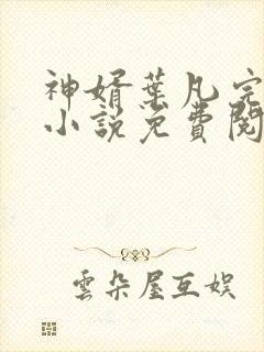 神婿叶凡完整版小说免费阅读