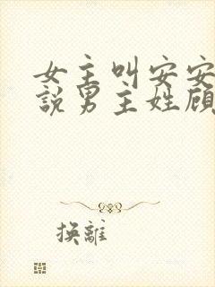 女主叫安安的小说男主姓顾封面