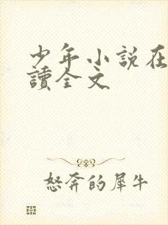 少年小说在线阅读全文