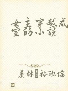 女主穿越成了外室的小说