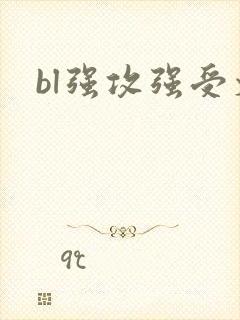 bl强攻强受文