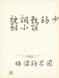 被调教的少妇张雅小说