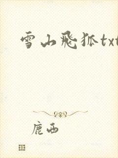 雪山飞狐txt