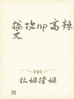 总攻np高辣h文