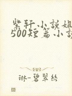 紫轩小说姐弟妹500短篇小说封面