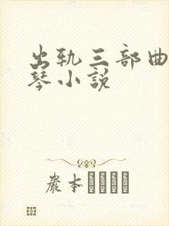 出轨三部曲沈秀琴小说封面