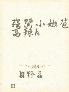 强开小嫩苞h文高辣h