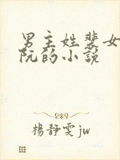 男主姓裴女主姓阮的小说封面