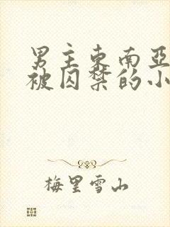 男主东南亚女主被囚禁的小说封面