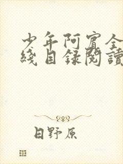 少年阿宾全集在线目录阅读全文原文封面