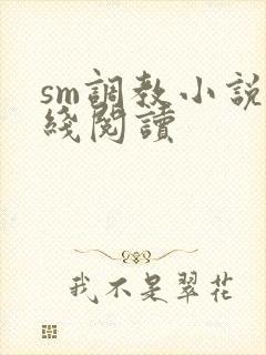 sm调教小说在线阅读